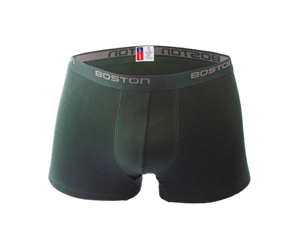 Boxer Boston Verde