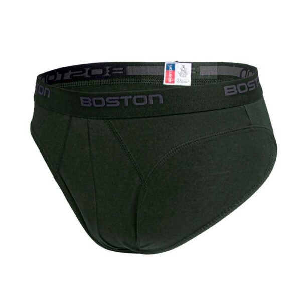 Trusa Boston Verde - Imagen 2